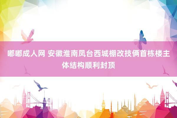 嘟嘟成人网 安徽淮南凤台西城棚改技俩首栋楼主体结构顺利封顶
