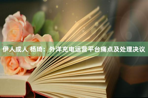 伊人成人 杨琦：外洋充电运营平台痛点及处理决议