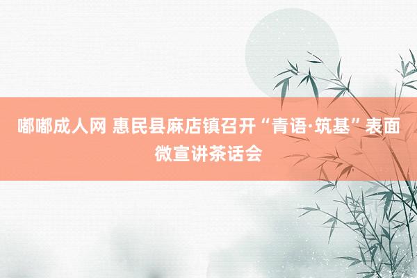 嘟嘟成人网 惠民县麻店镇召开“青语·筑基”表面微宣讲茶话会