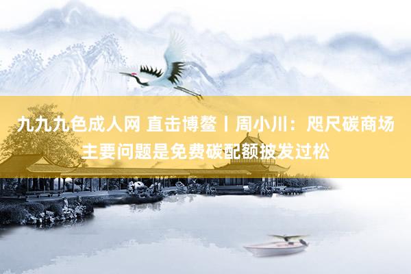 九九九色成人网 直击博鳌丨周小川：咫尺碳商场主要问题是免费碳配额披发过松