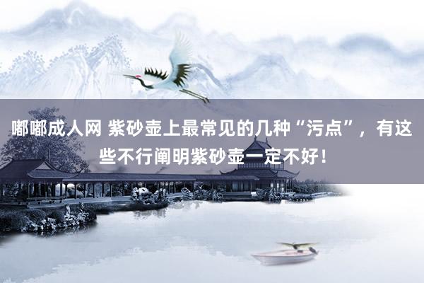 嘟嘟成人网 紫砂壶上最常见的几种“污点”，有这些不行阐明紫砂壶一定不好！