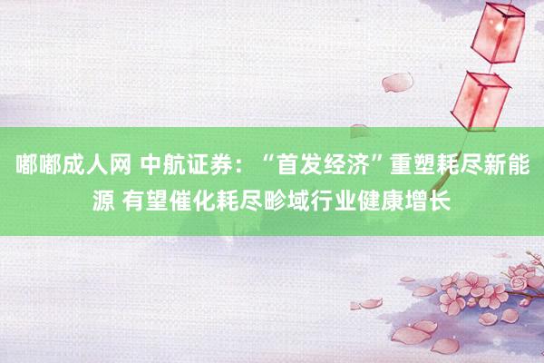 嘟嘟成人网 中航证券：“首发经济”重塑耗尽新能源 有望催化耗尽畛域行业健康增长