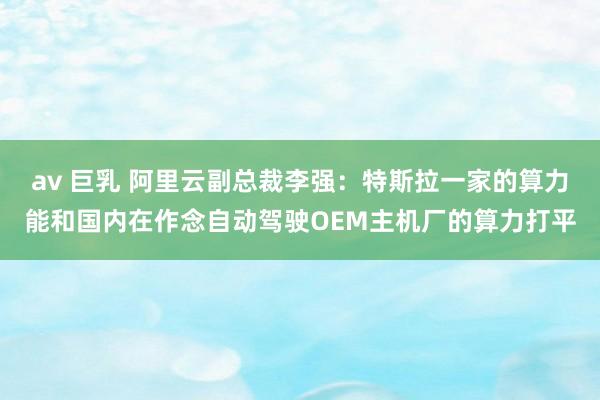 av 巨乳 阿里云副总裁李强：特斯拉一家的算力能和国内在作念自动驾驶OEM主机厂的算力打平