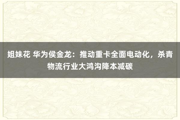 姐妹花 华为侯金龙：推动重卡全面电动化，杀青物流行业大鸿沟降本减碳