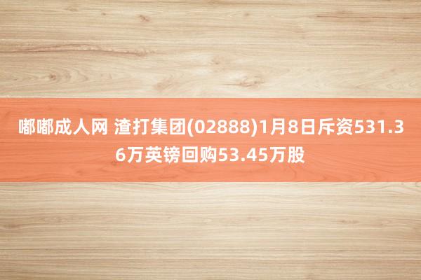 嘟嘟成人网 渣打集团(02888)1月8日斥资531.36万英镑回购53.45万股