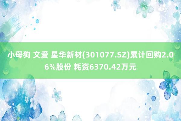 小母狗 文爱 星华新材(301077.SZ)累计回购2.06%股份 耗资6370.42万元