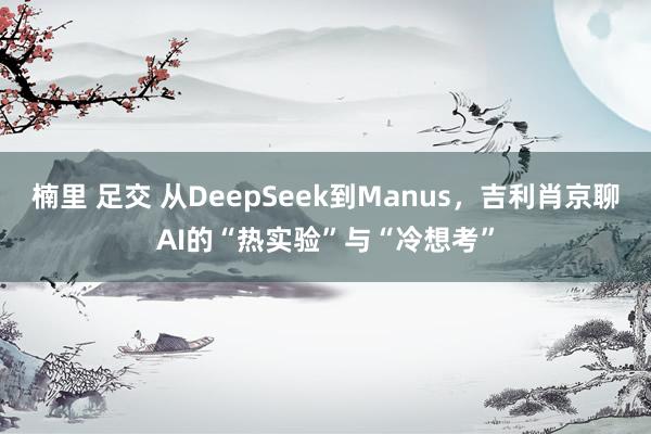 楠里 足交 从DeepSeek到Manus，吉利肖京聊AI的“热实验”与“冷想考”