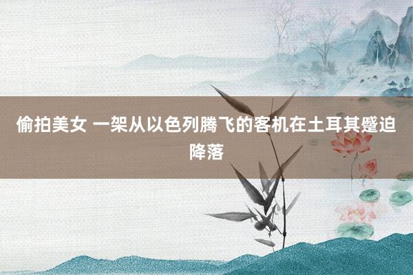 偷拍美女 一架从以色列腾飞的客机在土耳其蹙迫降落