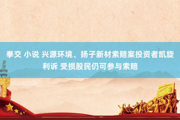 拳交 小说 兴源环境、扬子新材索赔案投资者凯旋利诉 受损股民仍可参与索赔