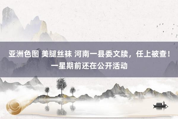 亚洲色图 美腿丝袜 河南一县委文牍，任上被查！一星期前还在公开活动