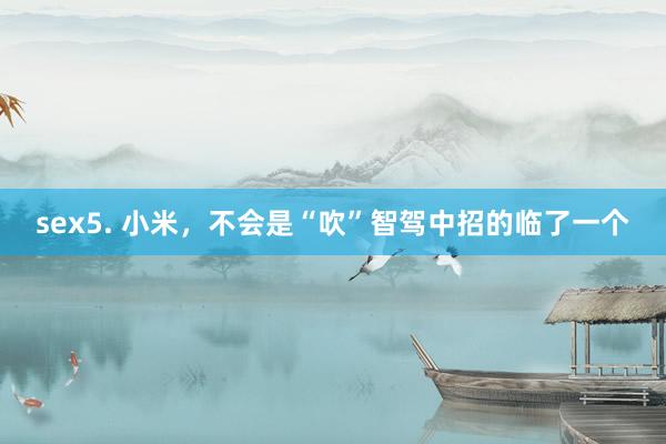 sex5. 小米，不会是“吹”智驾中招的临了一个