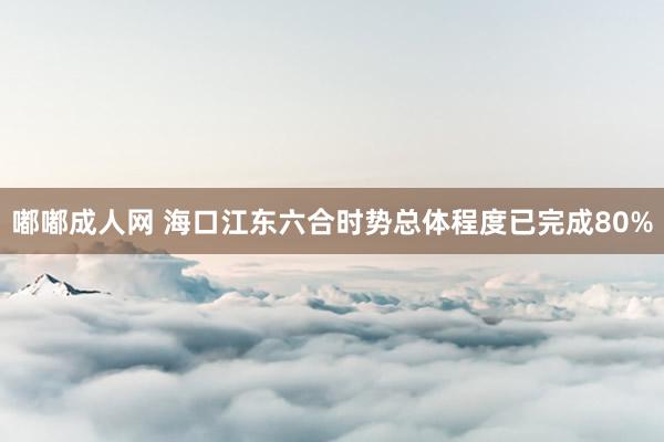 嘟嘟成人网 海口江东六合时势总体程度已完成80%