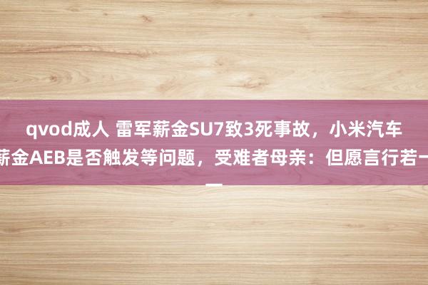 qvod成人 雷军薪金SU7致3死事故，小米汽车薪金AEB是否触发等问题，受难者母亲：但愿言行若一