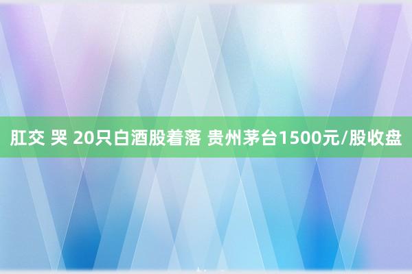 肛交 哭 20只白酒股着落 贵州茅台1500元/股收盘