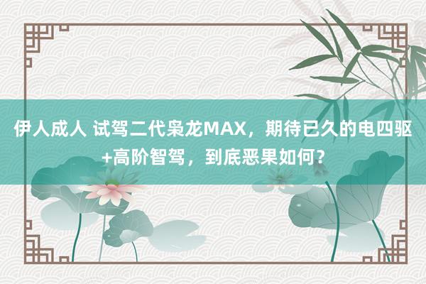 伊人成人 试驾二代枭龙MAX，期待已久的电四驱+高阶智驾，到底恶果如何？