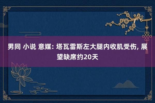 男同 小说 意媒: 塔瓦雷斯左大腿内收肌受伤， 展望缺席约20天