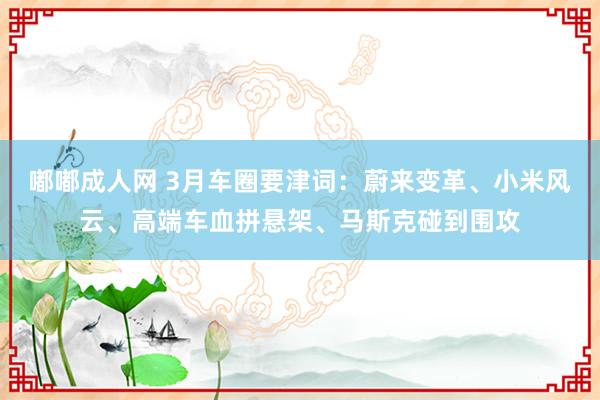 嘟嘟成人网 3月车圈要津词：蔚来变革、小米风云、高端车血拼悬架、马斯克碰到围攻