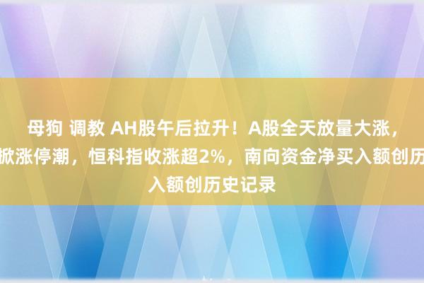 母狗 调教 AH股午后拉升！A股全天放量大涨，军工股掀涨停潮，恒科指收涨超2%，南向资金净买入额创历史记录