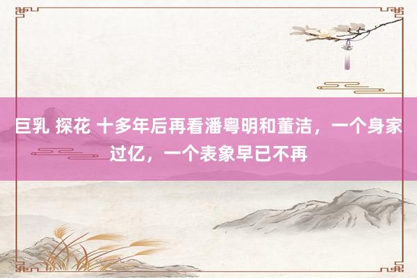 巨乳 探花 十多年后再看潘粤明和董洁，一个身家过亿，一个表象早已不再
