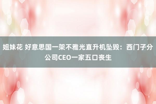 姐妹花 好意思国一架不雅光直升机坠毁：西门子分公司CEO一家五口丧生