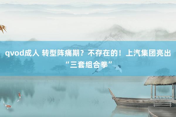 qvod成人 转型阵痛期？不存在的！上汽集团亮出“三套组合拳”