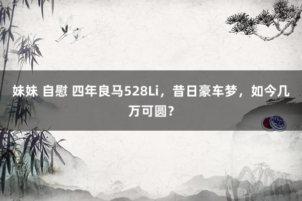 妹妹 自慰 四年良马528Li，昔日豪车梦，如今几万可圆？