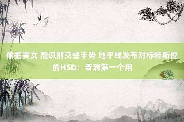 偷拍美女 能识别交警手势 地平线发布对标特斯拉的HSD：奇瑞第一个用
