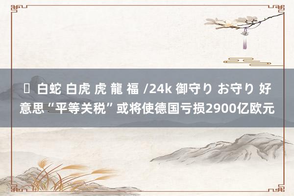 ✨白蛇 白虎 虎 龍 福 /24k 御守り お守り 好意思“平等关税”或将使德国亏损2900亿欧元