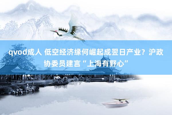 qvod成人 低空经济缘何崛起成翌日产业？沪政协委员建言“上海有野心”