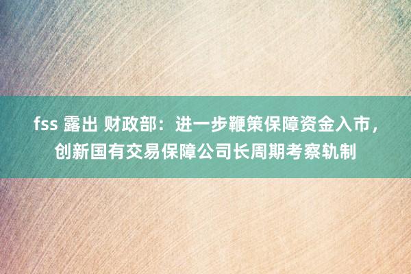 fss 露出 财政部：进一步鞭策保障资金入市，创新国有交易保障公司长周期考察轨制