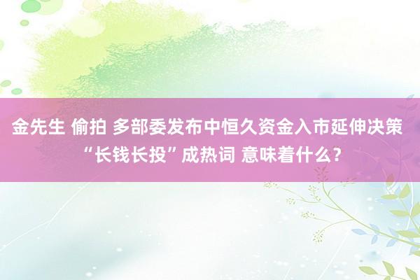 金先生 偷拍 多部委发布中恒久资金入市延伸决策 “长钱长投”成热词 意味着什么？