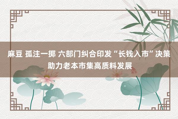 麻豆 孤注一掷 六部门纠合印发“长钱入市”决策 助力老本市集高质料发展