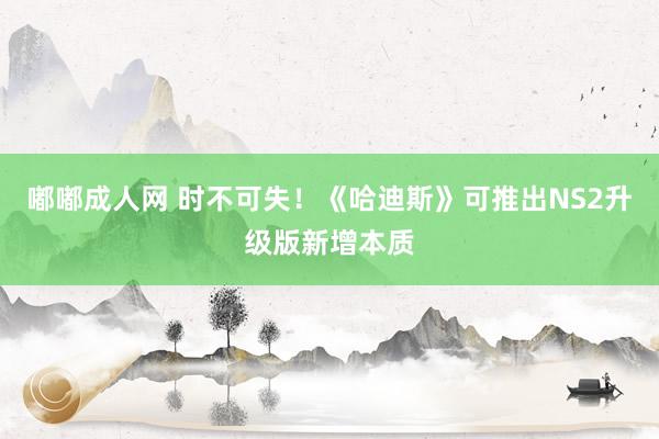 嘟嘟成人网 时不可失！《哈迪斯》可推出NS2升级版新增本质