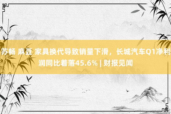 苏畅 麻豆 家具换代导致销量下滑，长城汽车Q1净利润同比着落45.6% | 财报见闻