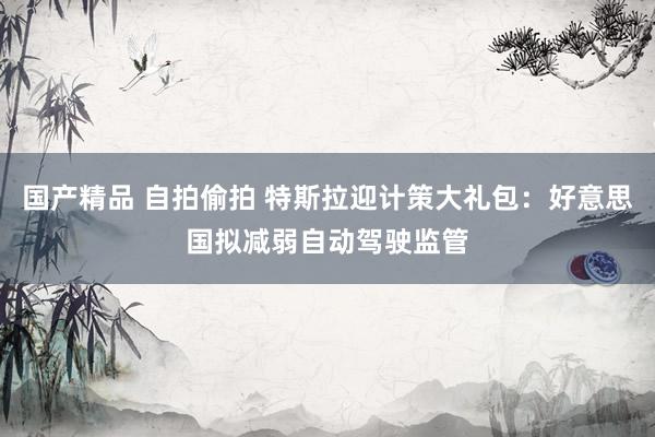 国产精品 自拍偷拍 特斯拉迎计策大礼包：好意思国拟减弱自动驾驶监管